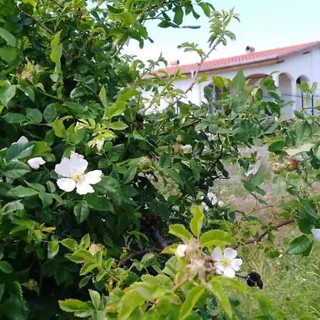 Nyaraló House In Complex